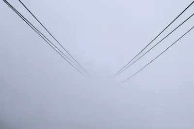 Into The Mist