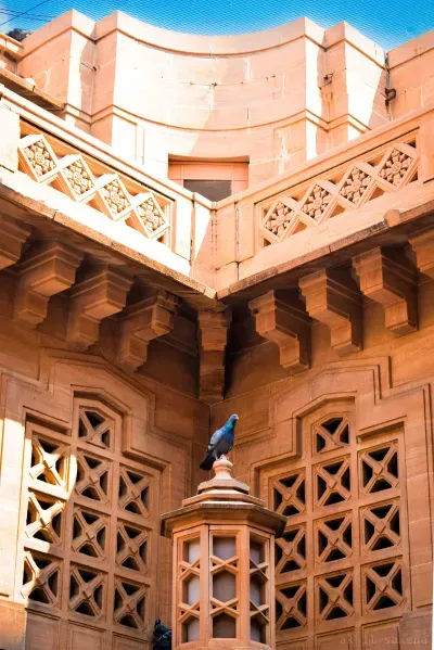 Pigeon At Umaid Bhawan