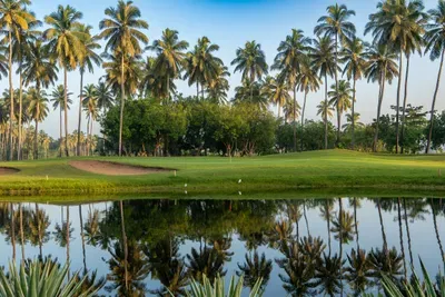 Fairway Reflections